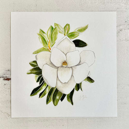 Mississippi Magnolia